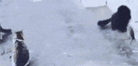 搞笑 喵星人 gif