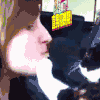 猫 亲亲 卖萌 萌宠 可爱 动物