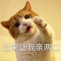 萌宠 猫星人 过来让我亲两口 开心 呆萌 可爱