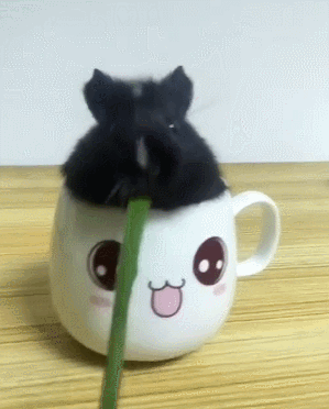老鼠 茶杯 吃草 可爱