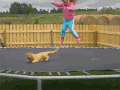 猫咪 可爱 萌宠 喵星人
