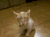 状态 搞笑 下午 gif
