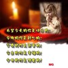 祈祷  快乐  爱  快乐  微笑