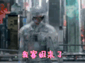 攻壳机动队 热门影视剧