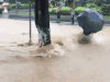 搞笑 大雨 过马路 逗逼