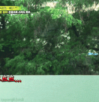 RUNNINGMAN