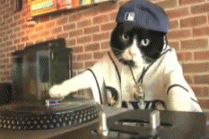 猫猫 DJ 开心 摇摆