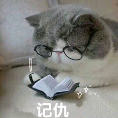记仇 猫咪 戴眼镜 可爱