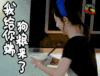 谭松韵 soogif soogif出品 我给你端口粮了
