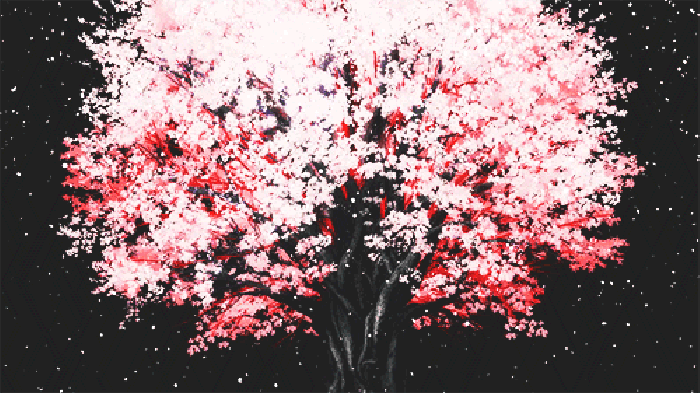 樱花 树 日本动漫 飘落