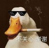 萌宠 鸭子 不关心 谢谢 呆萌 可爱