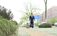 大张伟 表情 行李箱 搞笑
