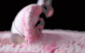 MS&FOODS 完美视觉冲击 烹饪 粉色 雪糕
