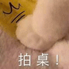 拍桌 猫 搞怪 逗