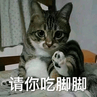 萌宠 猫咪 猫 喵星人 请你吃脚脚 可爱 搞怪