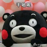 干啥呢 毛熊 可爱 红脸蛋