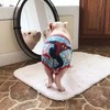 头像 情侣 搞怪 猪 萌宠