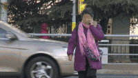 马路 交通 过马路 行走 行人 斑马线