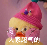 玻尿酸鸭 可爱 萌萌哒 人家超气的