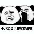 台风 熊猫头