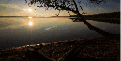 倒影 天空 延时摄影 树 欧洲 河 纪录片 芬兰 阳光 风景