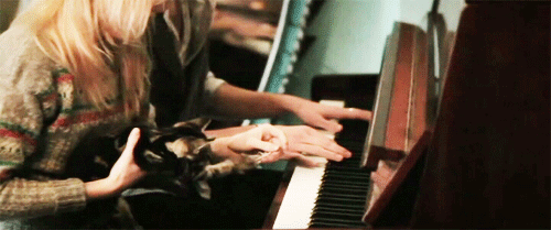 情侣 猫咪 弹琴