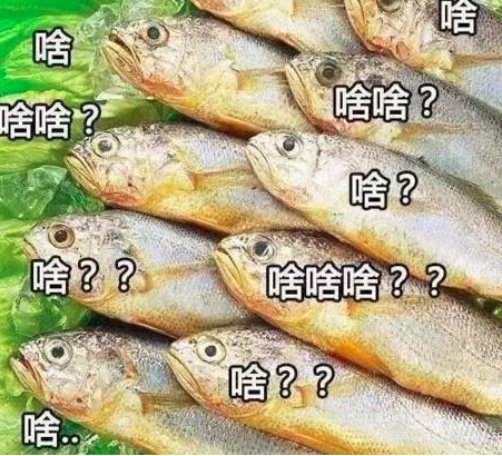 魚 搞笑 雷人 斗圖 魚：啥？