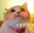 不亲亲吗 猫咪 脸红 害羞