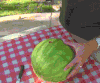 电转 搅拌 饮料 西瓜