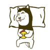 狗狗 睡不着 二哈 搞笑
