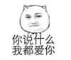 暴漫 文字表情包 你说什么我都爱你 搞笑 逗 沙雕