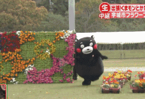熊本熊 跑步