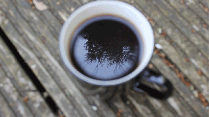 安静 微风 咖啡 倒影 树木