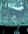 下雨 窗外 雨滴 动画