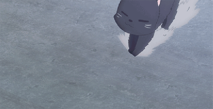 滑行 黑色 小猫 可爱