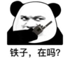 暴漫 文字表情包 铁子在吗 搞怪 沙雕 魔性
