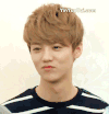 鹿晗 luhan 玩偶 可爱