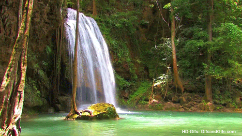 瀑布 热带雨林 自然 风景