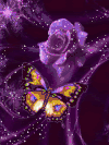 蝴蝶效应 变化 好看The+Butterfly+Effect