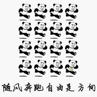 熊猫头 恶搞 雷人 斗图 随风奔跑是自由的方向