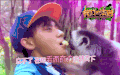 我们的法则 么么哒 小动物 有爱