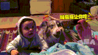 萌娃 狗狗 叫妈妈 诱惑