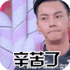 辛苦了，感谢 帅气 演出 感谢