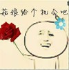 老司机 污 逗比 送玫瑰花:姑娘给个机会吧