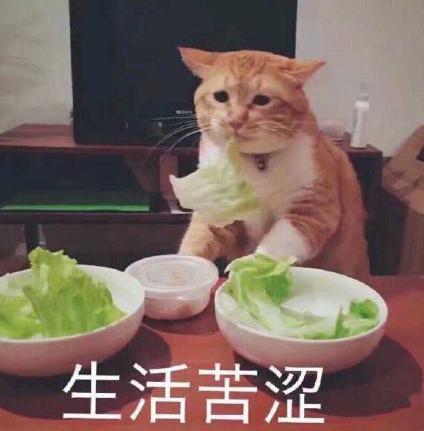 大杂烩 魔性 沙雕 搞笑 文字表情包
