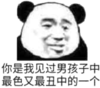 金馆长 逗比 你是我见过男孩子中 最色又最丑中的一个