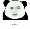 我无语了 熊猫 面无表情 斜眼 眼神