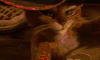 猫 可爱 萌宠 soogif soogif出品