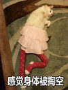猫咪 裙子 躺着 感觉身体被掏空