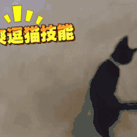 喵星人 猫咪 可爱 萌宠